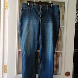 Love Indigo Stretch Skinny Jeans